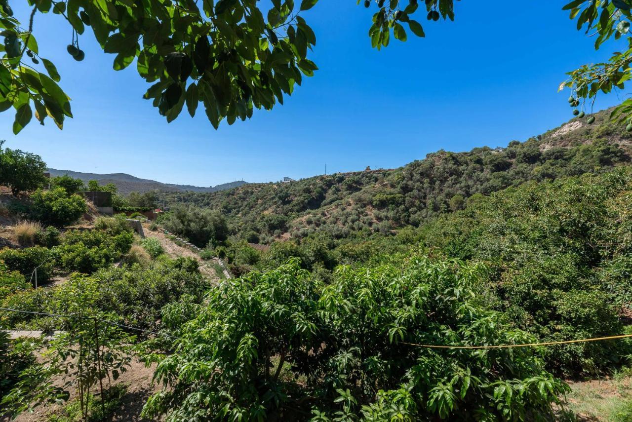 Casa Rural Entre Ojen Y Marbella Exteriör bild